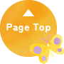 pagetop